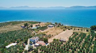 Αγροτεμάχια 5.413 τ.μ. για πώληση, Αργολίδα, Ερμιόνη-thumb-10