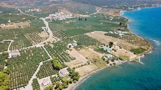 Αγροτεμάχια 5.413 τ.μ. για πώληση, Αργολίδα, Ερμιόνη-thumb-15