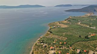 Αγροτεμάχια 5.413 τ.μ. για πώληση, Αργολίδα, Ερμιόνη-thumb-9