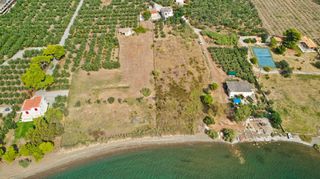Αγροτεμάχια 5.413 τ.μ. για πώληση, Αργολίδα, Ερμιόνη-thumb-13