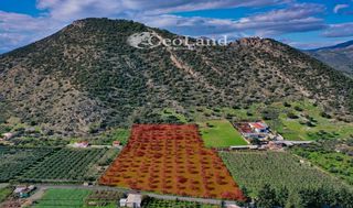 Αγροτεμάχια 24.018 τ.μ. για πώληση, Αργολίδα, Ερμιόνη-thumb-6