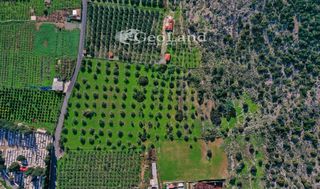 Αγροτεμάχια 24.018 τ.μ. για πώληση, Αργολίδα, Ερμιόνη-thumb-5
