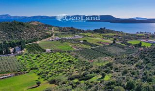 Αγροτεμάχια 24.018 τ.μ. για πώληση, Αργολίδα, Ερμιόνη-thumb-12