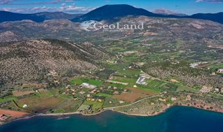 Αγροτεμάχια 24.018 τ.μ. για πώληση, Αργολίδα, Ερμιόνη-thumb-8