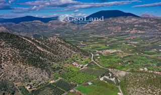 Αγροτεμάχια 24.018 τ.μ. για πώληση, Αργολίδα, Ερμιόνη-thumb-9