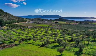 Αγροτεμάχια 24.018 τ.μ. για πώληση, Αργολίδα, Ερμιόνη-thumb-4