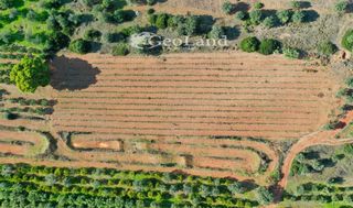 Αγροτεμάχια 72.000 τ.μ. για πώληση, Αργολίδα, Ερμιόνη-thumb-20