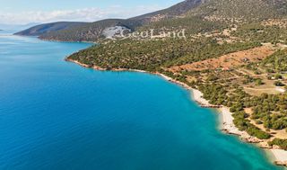 Αγροτεμάχια 672 τ.μ. πρός πώληση, Αργολίδα, Κρανίδι-thumb-16