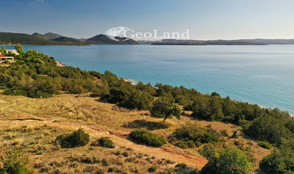 Αγροτεμάχια 672 τ.μ. πρός πώληση, Αργολίδα, Κρανίδι