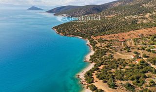 Αγροτεμάχια 672 τ.μ. πρός πώληση, Αργολίδα, Κρανίδι-thumb-14