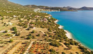 Αγροτεμάχια 672 τ.μ. για πώληση