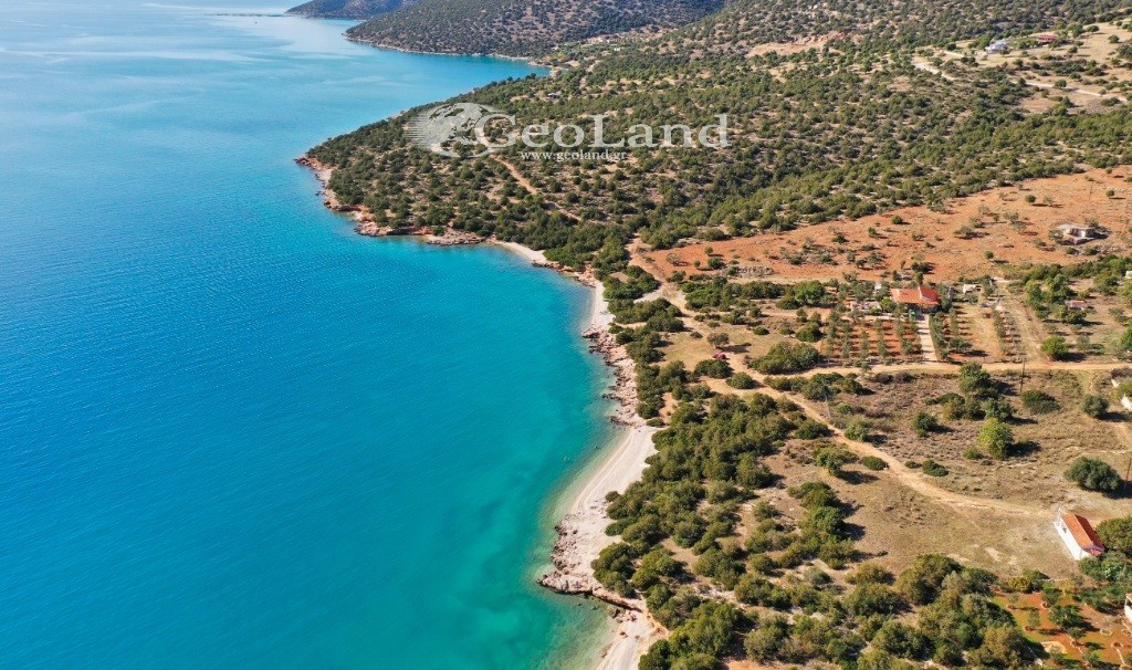 Αγροτεμάχια 672 τ.μ. πρός πώληση, Αργολίδα, Κρανίδι