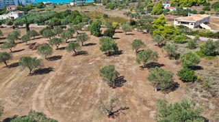 Αγροτεμάχια 27.000 τ.μ. για πώληση, Αργολίδα, Κρανίδι-thumb-6