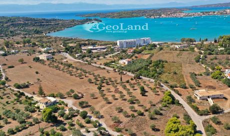 Αγροτεμάχια 27.000τ.μ. για πώληση-Κρανίδι » Πορτοχέλι