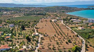 Αγροτεμάχια 27.000 τ.μ. για πώληση, Αργολίδα, Κρανίδι-thumb-16
