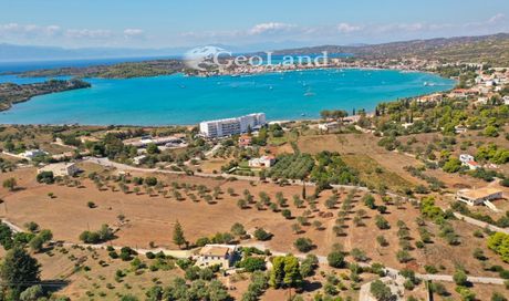 Αγροτεμάχια 5.000τ.μ. για πώληση-Κρανίδι » Πορτοχέλι