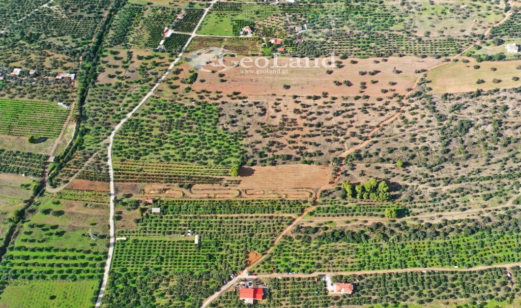 Αγροτεμάχια 25.542 τ.μ. προς πώληση, Κέντρο Ερμιόνης