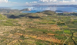 Αγροτεμάχια 25.542 τ.μ. για πώληση, Αργολίδα, Ερμιόνη-thumb-12