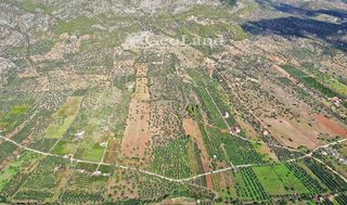 Αγροτεμάχια 25.542 τ.μ. για πώληση, Αργολίδα, Ερμιόνη-thumb-7