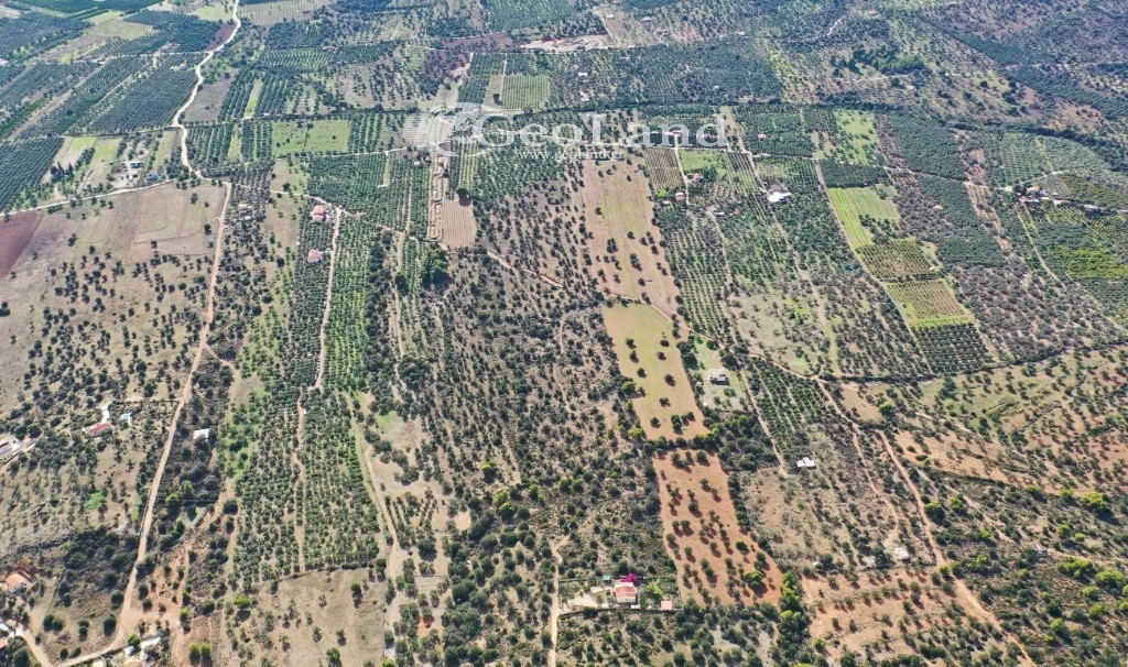 Αγροτεμάχια 25.542 τ.μ. προς πώληση, Κέντρο Ερμιόνης