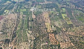 Αγροτεμάχια 25.542 τ.μ. για πώληση, Αργολίδα, Ερμιόνη-thumb-2