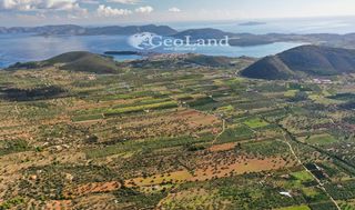 Αγροτεμάχια 12.243 τ.μ. για πώληση, Αργολίδα, Ερμιόνη-thumb-15
