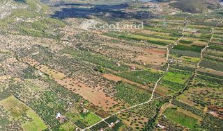 Αγροτεμάχια 6.348 τ.μ. για πώληση, Αργολίδα, Ερμιόνη-thumb-4