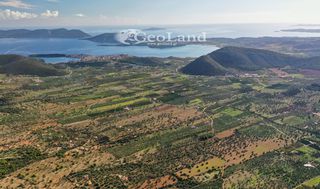 Αγροτεμάχια 6.348 τ.μ. για πώληση, Αργολίδα, Ερμιόνη-thumb-15