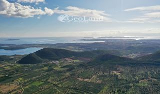 Αγροτεμάχια 6.348 τ.μ. για πώληση, Αργολίδα, Ερμιόνη-thumb-14