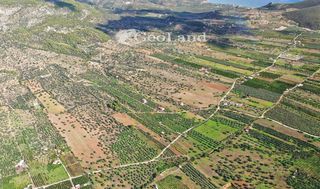 Αγροτεμάχια 6.348 τ.μ. για πώληση, Αργολίδα, Ερμιόνη-thumb-3