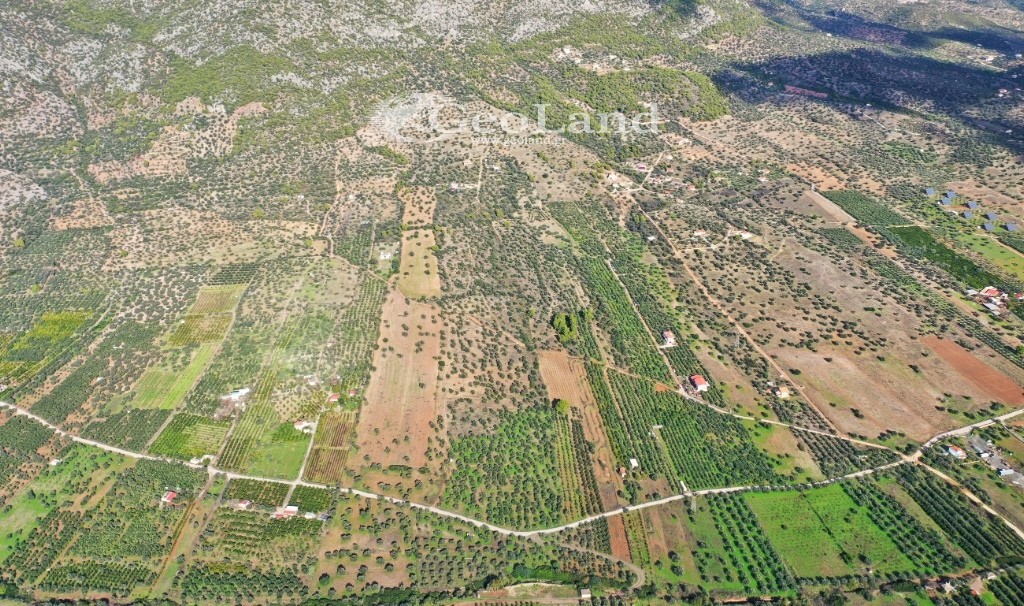 Αγροτεμάχια 6.348 τ.μ. προς πώληση, Κέντρο Ερμιόνης