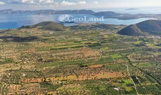 Αγροτεμάχια 6.348 τ.μ. για πώληση, Αργολίδα, Ερμιόνη-thumb-8