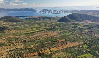 Αγροτεμάχια 925 τ.μ. για πώληση, Αργολίδα, Ερμιόνη-thumb-19