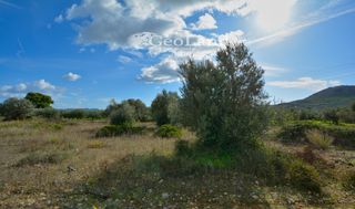 Αγροτεμάχια 368 τ.μ. για πώληση, Αργολίδα, Ερμιόνη-thumb-14