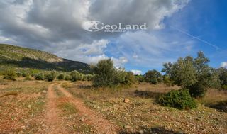 Αγροτεμάχια 368 τ.μ. για πώληση, Αργολίδα, Ερμιόνη-thumb-20