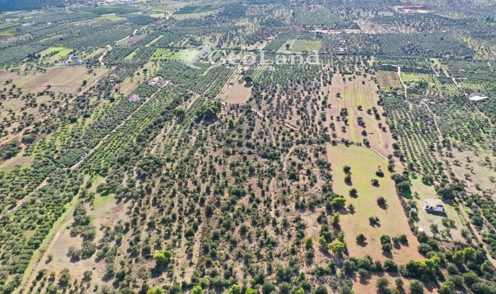 Αγροτεμάχια 368 τ.μ. προς πώληση, Κέντρο Ερμιόνης
