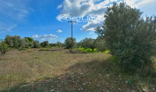 Αγροτεμάχια 368 τ.μ. για πώληση, Αργολίδα, Ερμιόνη-thumb-15