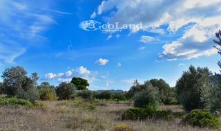 Αγροτεμάχια 368 τ.μ. για πώληση, Αργολίδα, Ερμιόνη-thumb-7