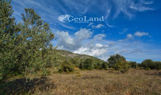 Αγροτεμάχια 368 τ.μ. για πώληση, Αργολίδα, Ερμιόνη-thumb-21