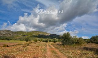 Αγροτεμάχια 368 τ.μ. για πώληση, Αργολίδα, Ερμιόνη-thumb-19