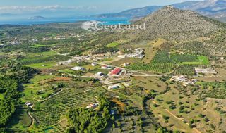 Αίθουσα 300 τ.μ. για πώληση, Αργολίδα, Κρανίδι-thumb-10