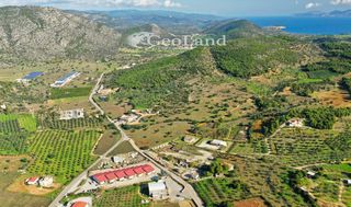 Αίθουσα 300 τ.μ. για πώληση, Αργολίδα, Κρανίδι-thumb-7