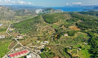 Αίθουσα 300 τ.μ. για πώληση, Αργολίδα, Κρανίδι-thumb-6
