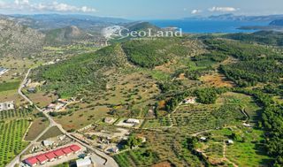 Αποθήκη 300 τ.μ. για πώληση, Αργολίδα, Κρανίδι-thumb-2