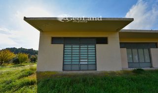 Αποθήκη 300 τ.μ. για πώληση, Αργολίδα, Κρανίδι-thumb-15