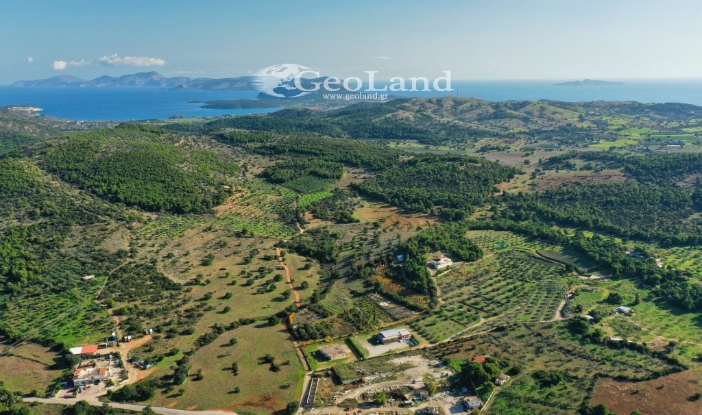 Αποθήκη 300 τ.μ. για πώληση, Αργολίδα, Κρανίδι