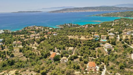 Οικόπεδο 1.009τ.μ. για πώληση-Κρανίδι » Άγιος αιμιλιανός