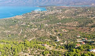 Μονοκατοικία 181 τ.μ. για πώληση, Αργολίδα, Κρανίδι-thumb-7