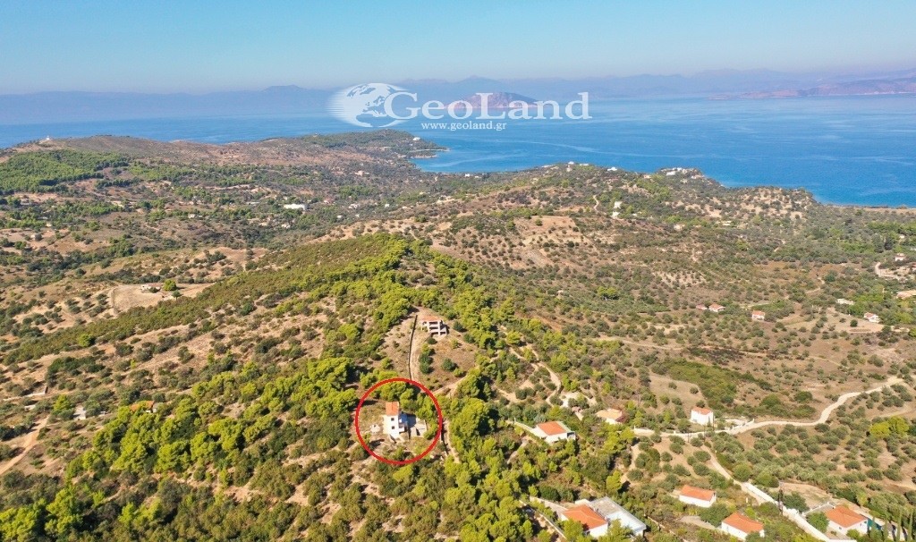 Μονοκατοικία 181 τ.μ. προς πώληση, Θυνί