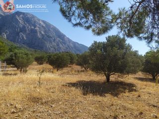Land plot 5.602 sqm for sale, Samos Prefecture, Samos-thumb-13
